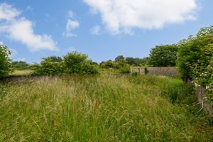 Garden- click for photo gallery